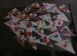 IMG-20231029-WA01971